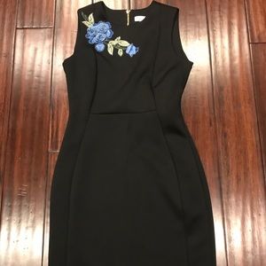 Ladies scuba dress